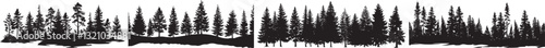 Pine Forest Silhouette Vector Illustrations