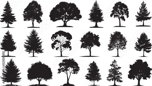 Tree Silhouette Vector Collection: Assorted Tree Illustrations Isolated on White