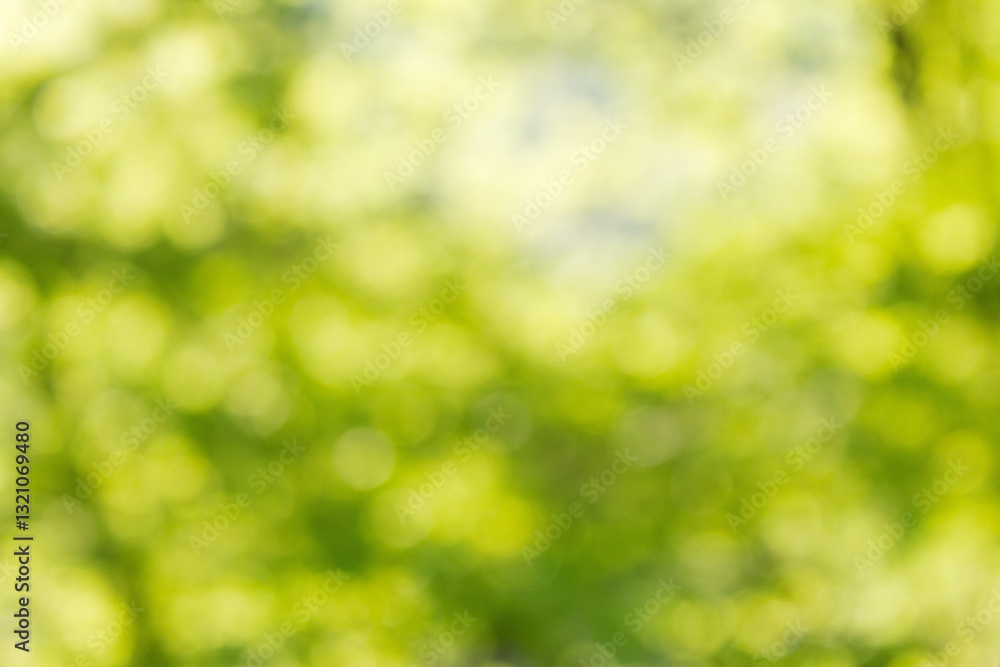 green nature background. forest outdoor in blur. fresh spring