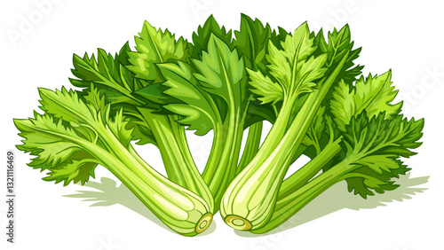 Fresh celery on white background isolated