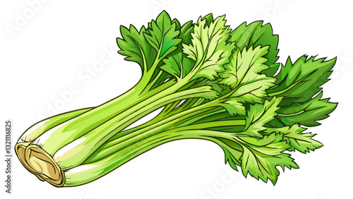 Fresh celery on white background isolated