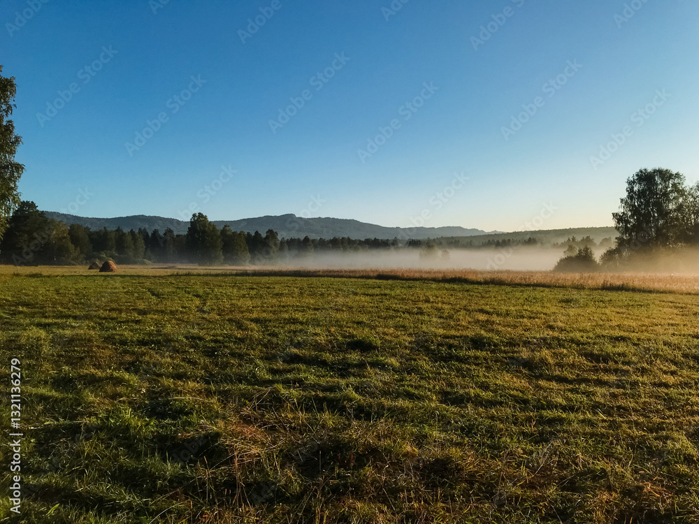 In a foggy field shrouded in mist, towering trees stand majestically and stunning mountains rise beyond, creating an enchanting scene that captivates all who experience it In a foggy field shrouded in mist, towering trees stand majestically and stunning mountains rise beyond, creating an enchanting scene that captivates all who experience it