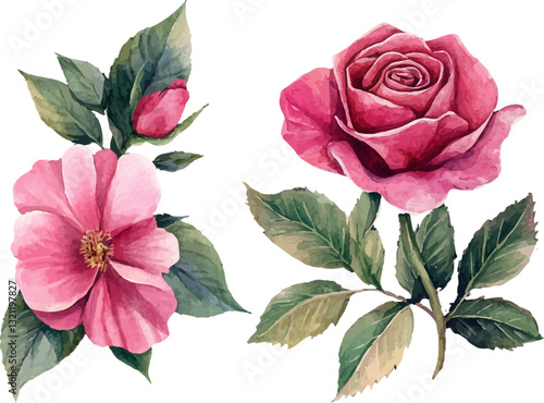 set of pink roses