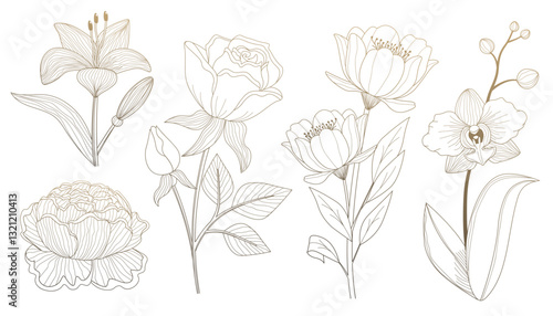 Vintage garden flowers sketch, flowering plants with leaves and blooming buds floral stencil
