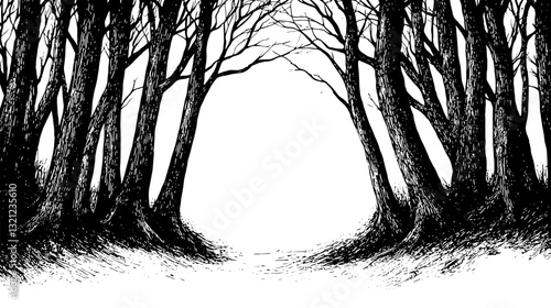 Engraved vector illustration of a mysterious forest with bare trees inviting an adventure into the unknown