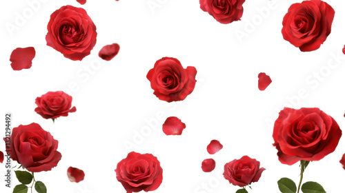 Wallpaper Mural beauty of red roses a stunning collection isolated on white background Torontodigital.ca
