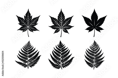 world famous decorative leaves vector illustration