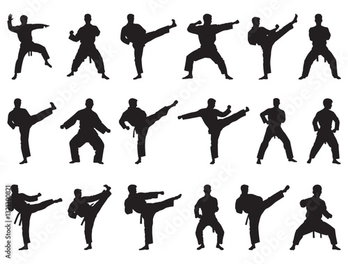 TAEKWONDO MAN SILHOUETTE WHITE BACKGROUND