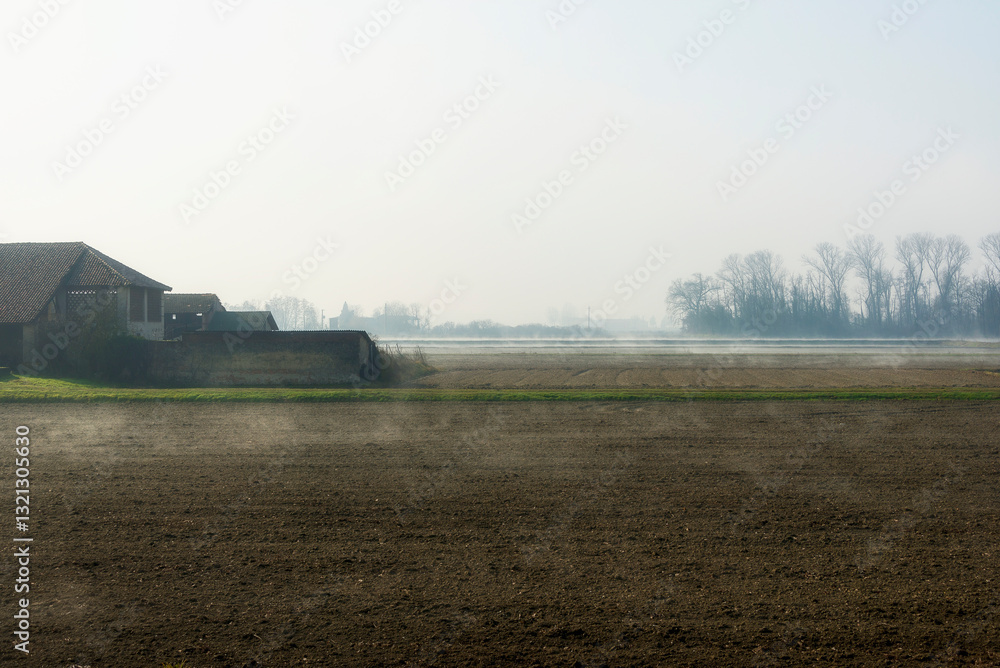 Fototapeta premium foggy landscape alon the Ticino river during a winter morning, Pavia