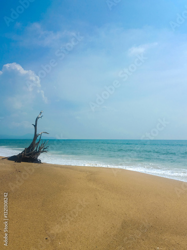 Empty Tropical Beach In Phuket, Thailand