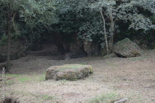 Necropoli di Castel D'Asso, Viterbo
