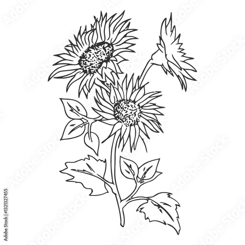Sunflower Sketch: Delicate line art brings sunflowers to life, showcasing the intricate details of petals and leaves.