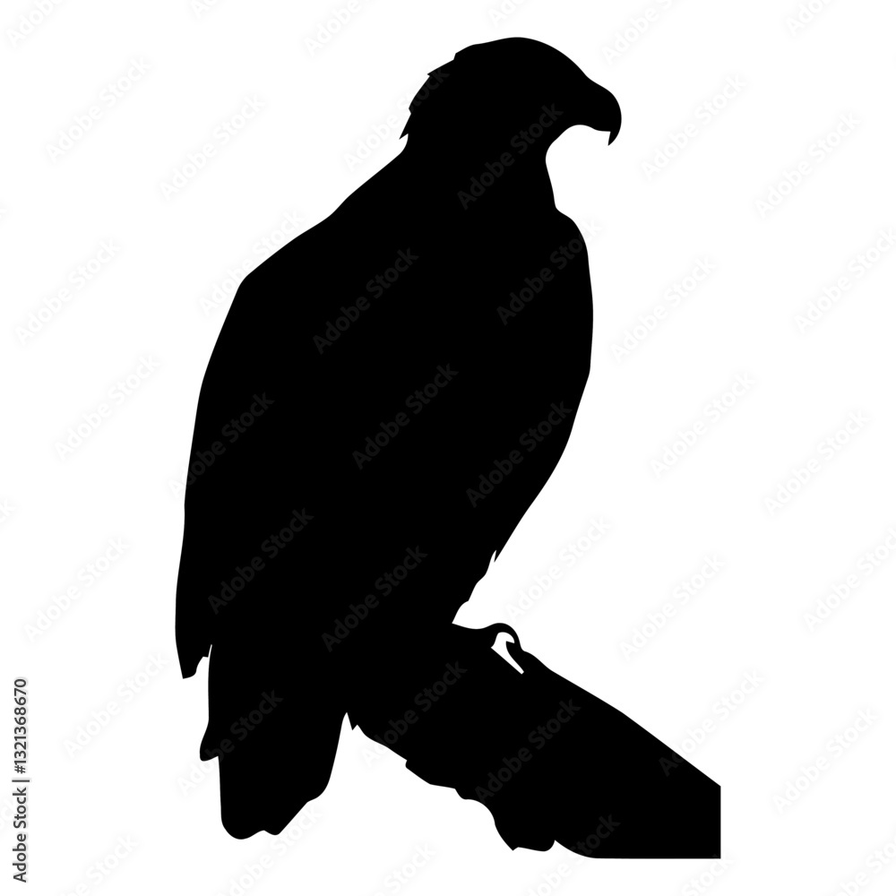 Fototapeta premium Majestic Silhouette of an Eagle: A stark black silhouette of an eagle perches majestically, its sharp profile conveying power and freedom.