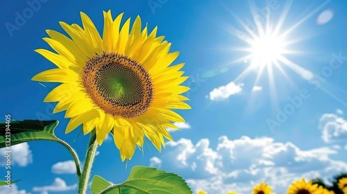 Vibrant sunflower blooming under a bright blue sky with fluffy clouds and sun rays illuminating the scene photo