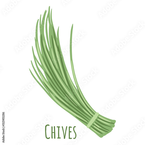 Fresh Chives Illustration: A vibrant illustration of a bundle of fresh chives, a flavorful herb often used to enhance the taste of culinary dishes.
