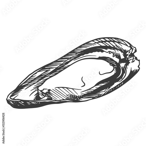 Mussel Shell Sketch: A detailed illustration of a single mussel shell showcases its natural form and texture, creating a timeless piece suitable for culinary, marine biology, and art-related projects.