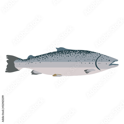 Salmon's aquatic elegance: A sleek salmon, its silvery scales gleaming, gracefully navigates the watery depths. A perfect illustration of aquatic life