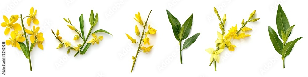 Naklejka premium Yellow Blossoms and Greenery Arrangement