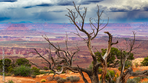 Beeindruckender Canyonlands Nationalpark photo