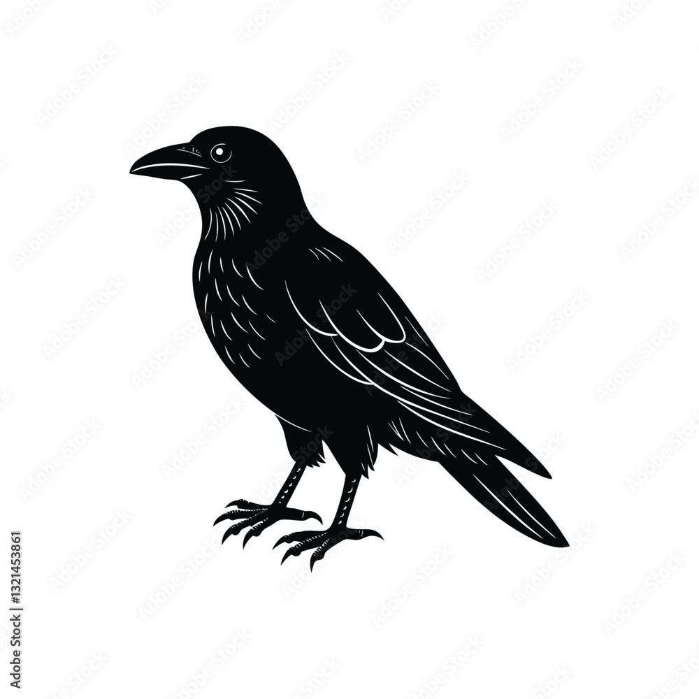 Fototapeta premium Beautiful crow vector art illustration