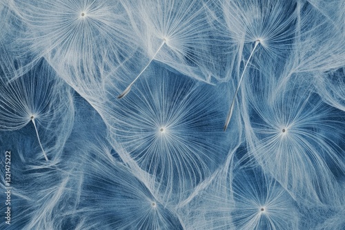 Delicate dandelion seeds, intricate patterns, soft blue hues.  Close-up view of the fine structure, showing the airy seed-heads in a textured design