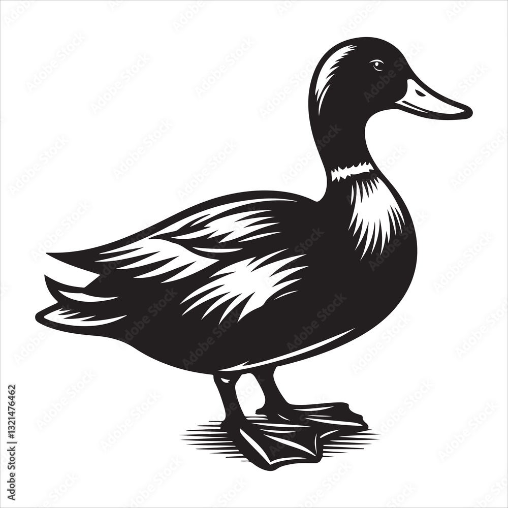 Silhouette of a Duck on a white background Vector icon Silhouette of a Duck on a white background Vector icon