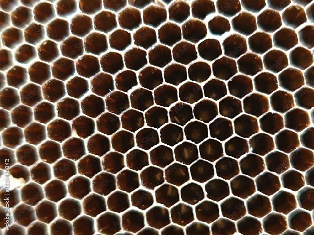 Beehive Macro Shot of Individual Cells - Notice the uniformly Hexagonal shape of the cells. Beehive Macro Shot of Individual Cells - Notice the uniformly Hexagonal shape of the cells.