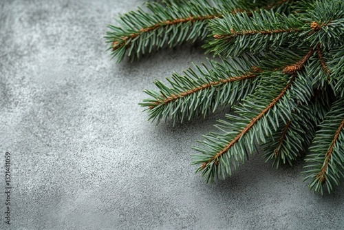 Wallpaper Mural Winter Holidays Background with Green Fir Tree Branches on Textured Grey Concrete Surface for Christmas and New Year Torontodigital.ca