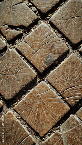 Photography wooden street covering under the guise of paving stones