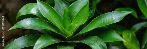 An enchanting close-up shot of rich green plant leaves showcasing their details and textures, embodying the beauty and vitality of nature in its purest form.
