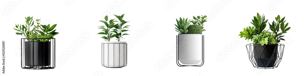Fototapeta premium Collection of various potted succulents cacti and other small indoor plants arranged on a shelf or table for stylish modern home or office decor Minimalist natural and botanical display with clean