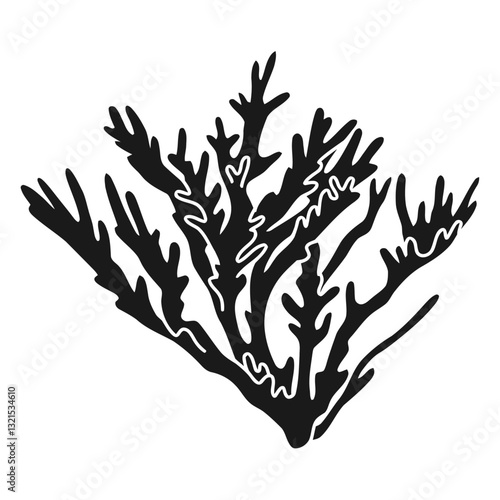  coral reef sea plant.
