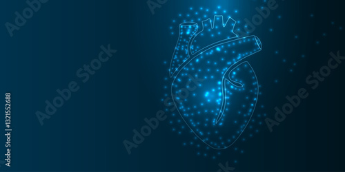 Abstract blue  human heart. Heart anatomy. Healthcare medical concept. Low poly style design. Geometric background. Wireframe light connection structure. Modern 3d graphic concept. Vector