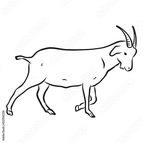 goat horn hoof tail sketch.