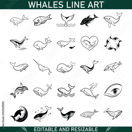 Editable Whale Line Art Designs, Illustrations, Graphics, Vectors, Ocean, Marine, Wildlife, Tattoo, 