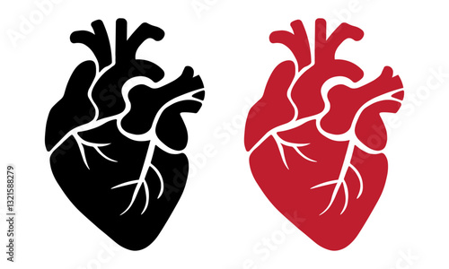 Anatomical heart vector illustration – black and red human heart silhouette, medical organ symbol icon, isolated on transparent background