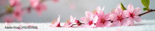 Pink blossoms spill from a lush green stem, cascading down a snowy white surface, botanical, pink blossoms, elegant