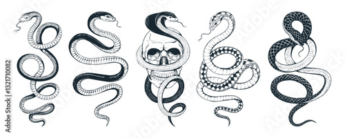 Snake tattoo. Cobra art sketch, serpent or viper python etching. Vintage asian reptile drawing. Elegant emblem or logo esoteric design. Boho black symbol. Vector flat isolated illustration