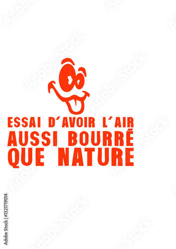  essai avoir air aussi bourre que nature citation humour alcool