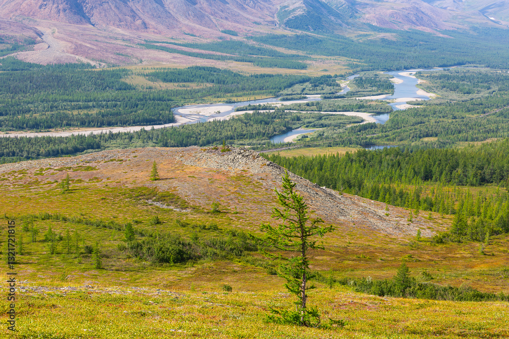 Naklejka premium View of the Rai-Iz mountain and the Sob River in the Polar Urals on a sunny summer day, Yamal, Russia