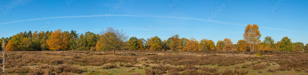 Panorama of Barger Heide nature reserve at Stade, Lower Saxony, Germany Panorama of Barger Heide nature reserve at Stade, Lower Saxony, Germany