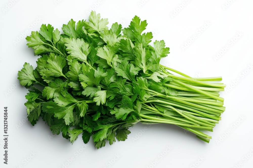 Fresh green parsley leaves isolated on white background and texture. Fresh green parsley leaves isolated on white background and texture.
