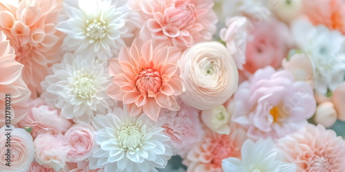 Wallpaper Mural red and white chrysanthemum Abstract flower texture, peach pink, trendy, concept women's day, march, 8th . Wallpaper background. , top view, copy space, spring, summer, macro Torontodigital.ca