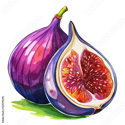 Watercolor Purple Fig with Exposed Rich Pulp and Seeds. Perfect for: Autumn, Mediterranean Food Promotions, Gourmet Campaigns