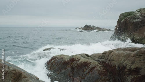 The North Sea. Sakhalin. Beach and rocky cliff with birds