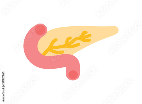  Illustration of an Human Organs Pancreas Icon