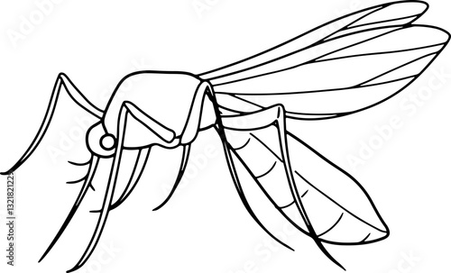 mosquito doodle insect