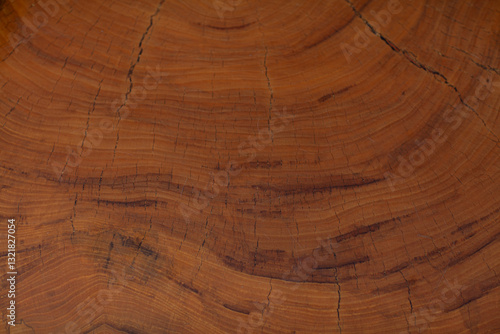 Wallpaper Mural Processed collage of old rustic dark brown wood planks texture. Background for banner, backdrop or texture  Torontodigital.ca