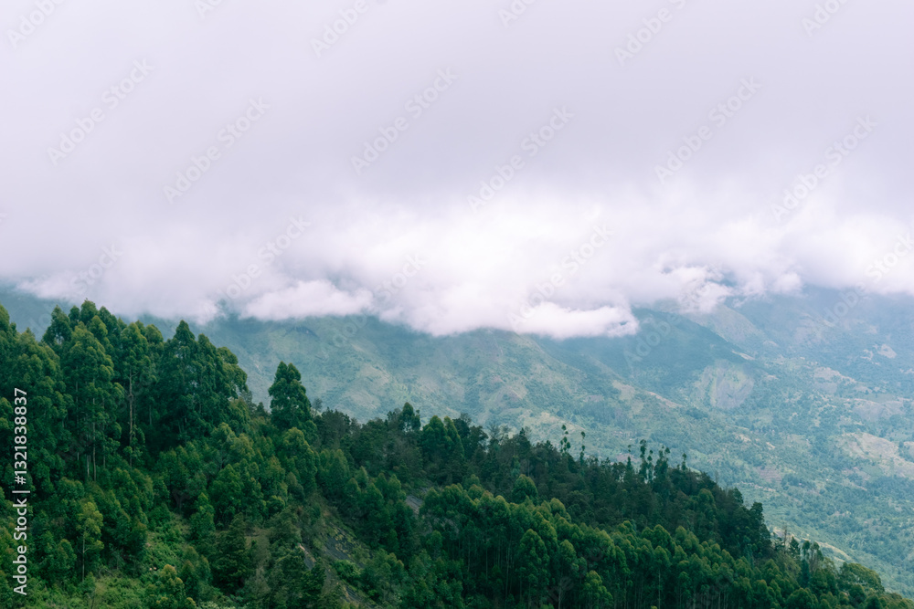 Naklejka premium Elevated view of lush green hills and misty clouds in Kodaikanal during a tranquil morning