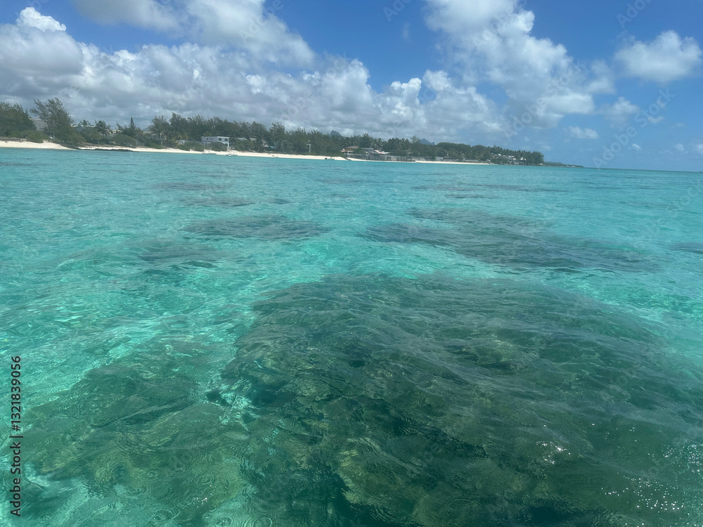 Fototapeta premium The ocean at the island Mauritius